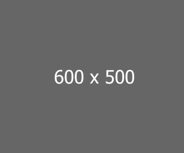 600x500 placeholder for website creative